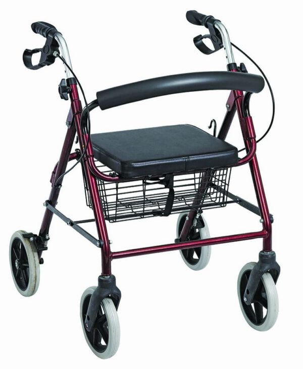 Walking Support Products